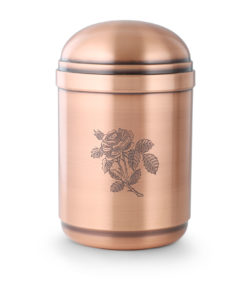 V844ROSE
