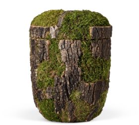 urna tree look k